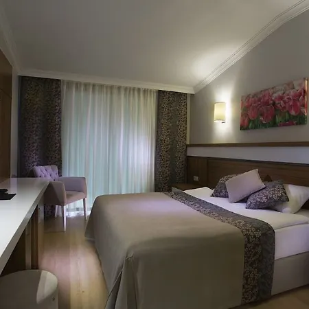 Sun Club Side